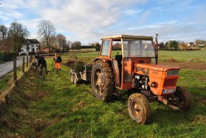 Plantation Haies Verger Saint Roch