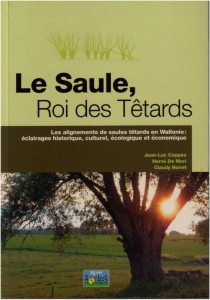 saule têtard